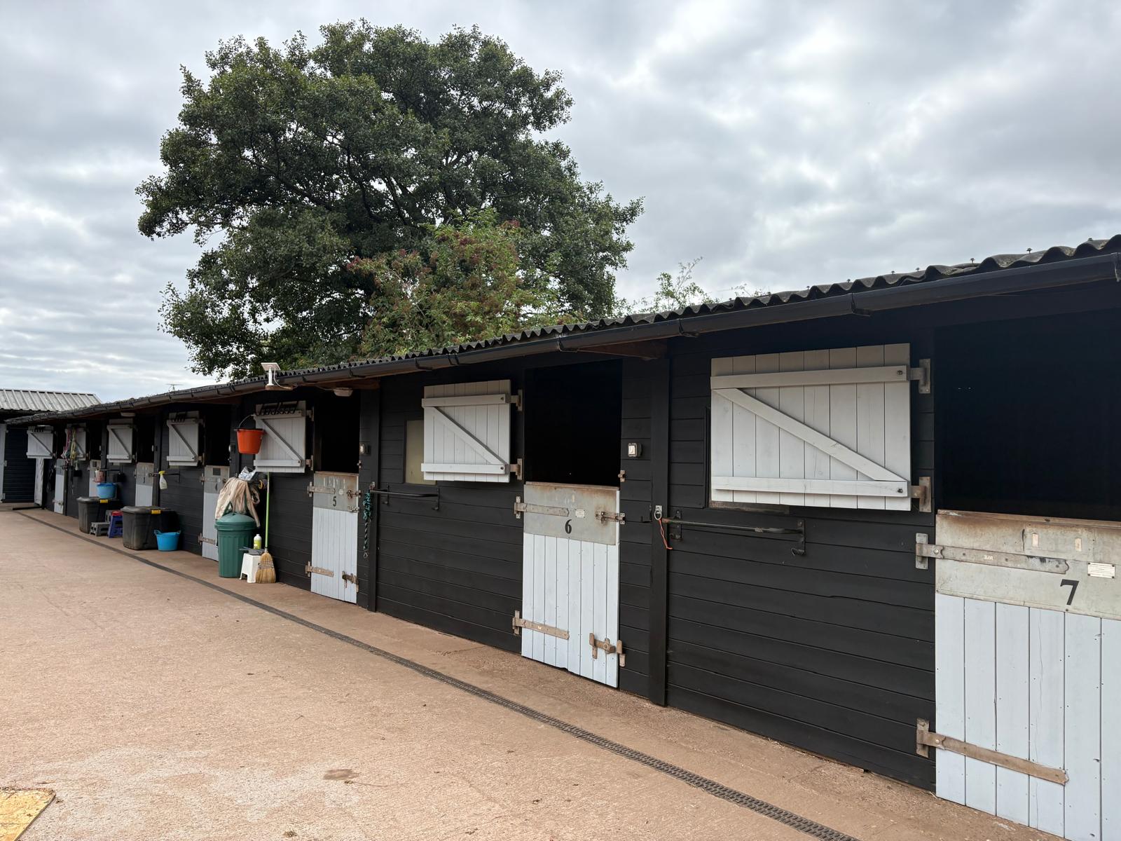 Row of black timber stables with white stable doors